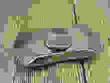 電子煙山海經霧化器