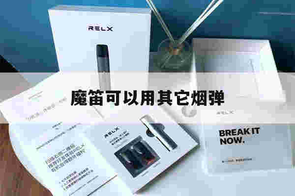 魔笛可以用其它煙彈(魔笛可以用其它煙彈抽嗎)-第1張圖片-電子煙煙油論壇