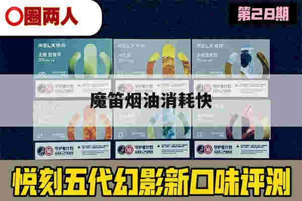 魔笛煙油消耗快(魔笛煙油消耗快怎么辦)-第1張圖片-電子煙煙油論壇