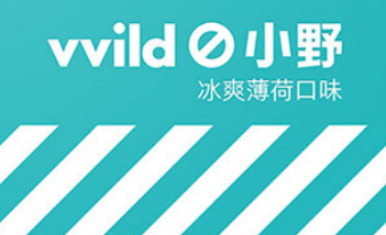 小野V1和V2的區別有哪些？