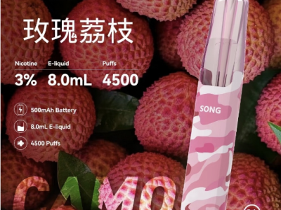 Song菘一次性鴨嘴獸電子煙：值得入手的寶藏之選？