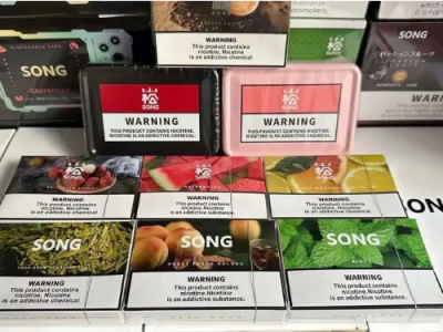 Song 崧煙彈黑冰薄荷：冰爽體驗新境界