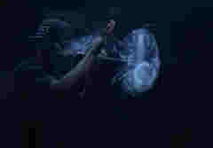 電子煙，是戒煙良方還是助吸推手？