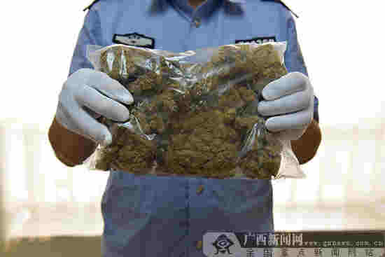 桂林市首例郵包走私大麻煙油案開庭審理