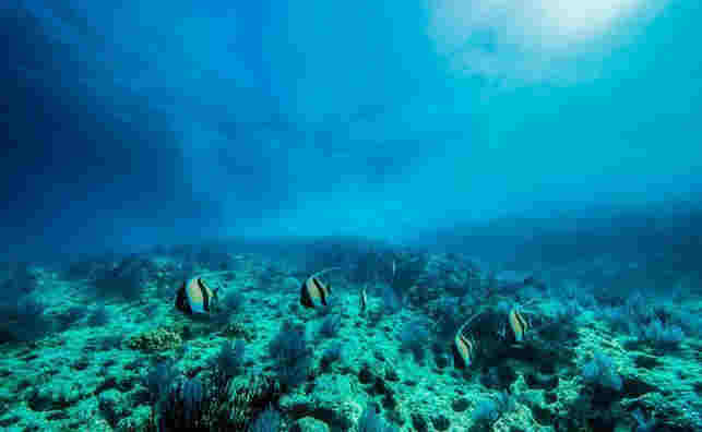 南方能源3天漲4倍 誰來為交易制度買單？