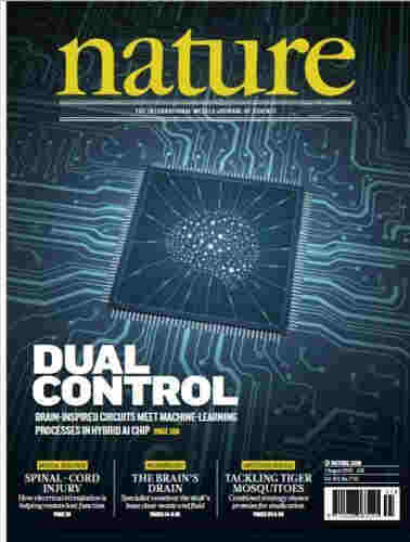 零的突破！中國新型類腦計算芯片首登《自然》封面