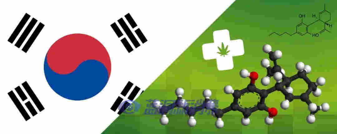 為發展工業大麻，韓國成立自由特區，又投資390億韓元開發大麻CBD藥物 