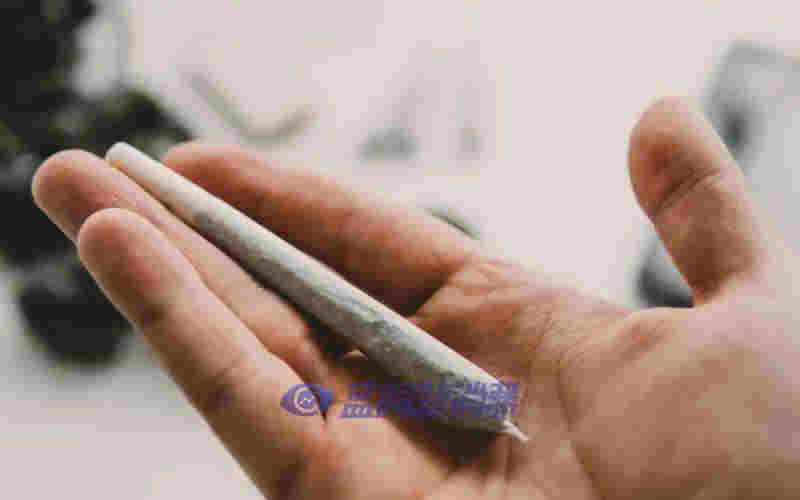 全球煙草巨頭豪擲1.7581億美元砸向大麻市場 