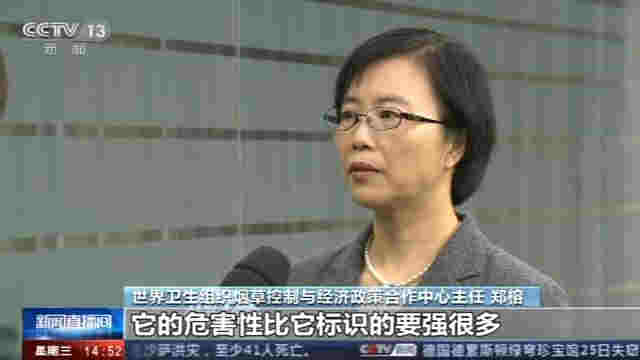 警惕！中國電子煙用戶達千萬人 莫讓青少年誤入電子煙迷途 