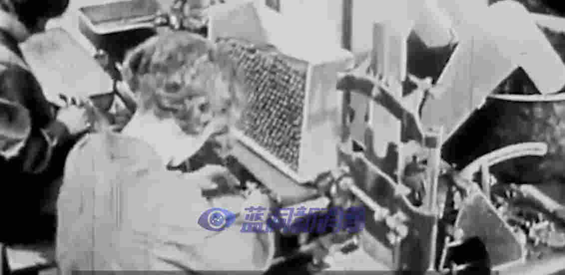 香煙與電子煙的前世今生，15分鐘短視頻帶你一趟走完 