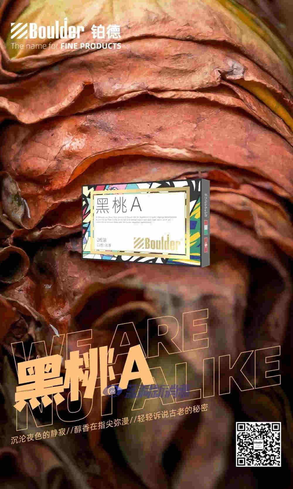 鉑德新品首發：插畫印象版KATE Graffiti，潮流視覺，全新升級 