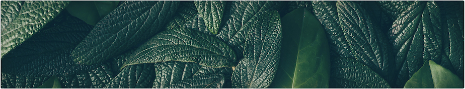 vvild小野煙彈口味怎么樣？口味推薦 