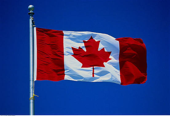 加拿大衛生部正推動電子煙口味禁令，除煙草及薄荷以外的口味禁止銷售