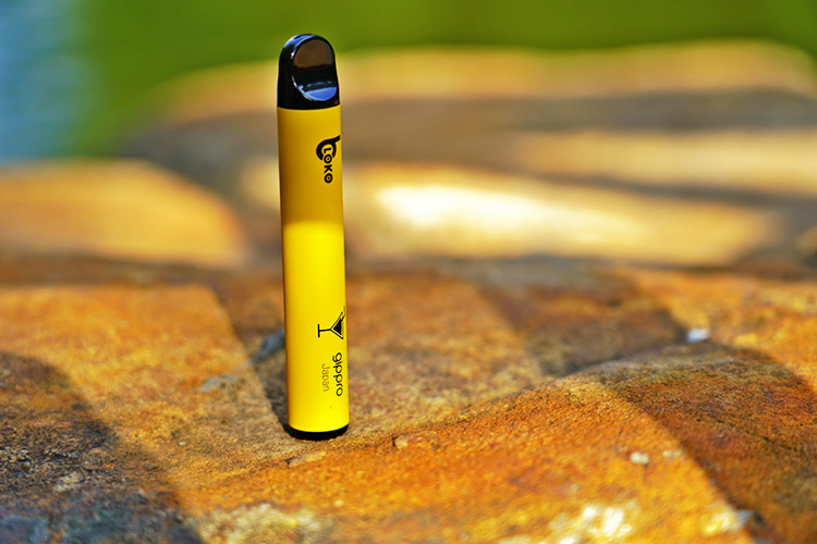 gippro龍舞 BLOKO評測丨乍見歡喜，久處不厭