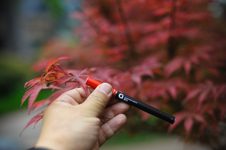 吉爾GR換彈電子煙EX套裝評測