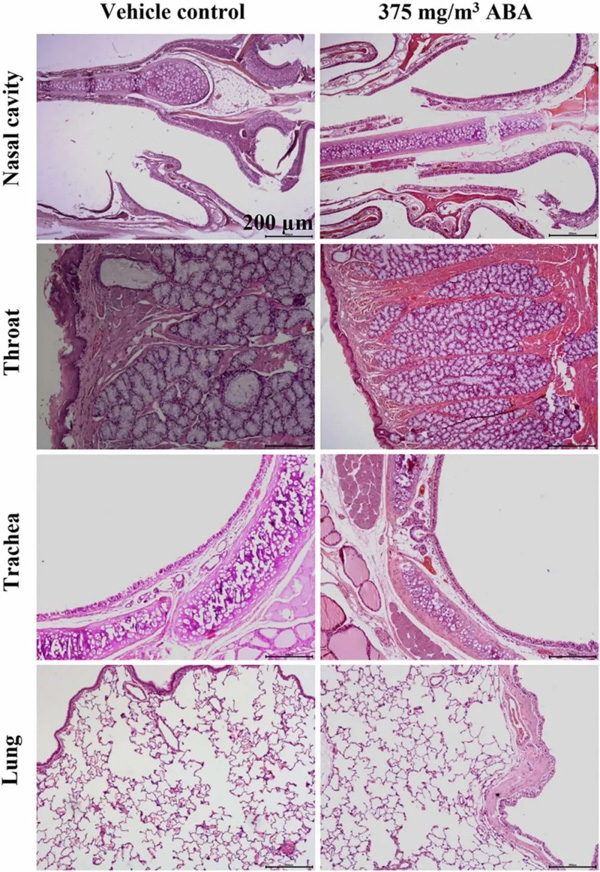 合元集團與水檳榔團隊聯合發表SCI論文，證實檳榔堿鹽霧化吸入安全性