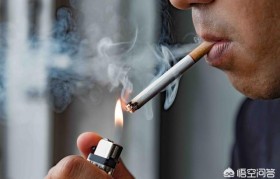 電子霧化器清肺，電子霧化器對身體有危害嗎