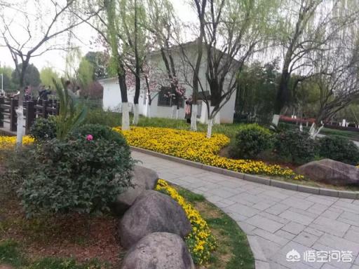 專家談電子煙有害嗎？二手電子煙對孕婦有害嗎